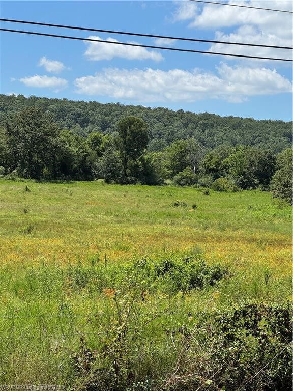 30 Acres off Bear Hollow Rd. Property is completely fenced. Small pond. Most of the land is cleared with small patches of trees. Small house on property is of no value but all the utilities are there. Gas, Electric & Water. Being Sold AS IS.