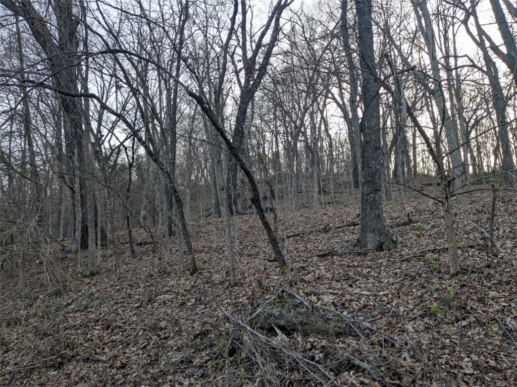 Unit 7 Holiday Island - Land