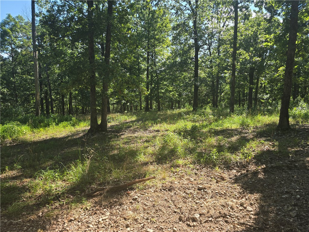 16-19-29-RURAL - Land