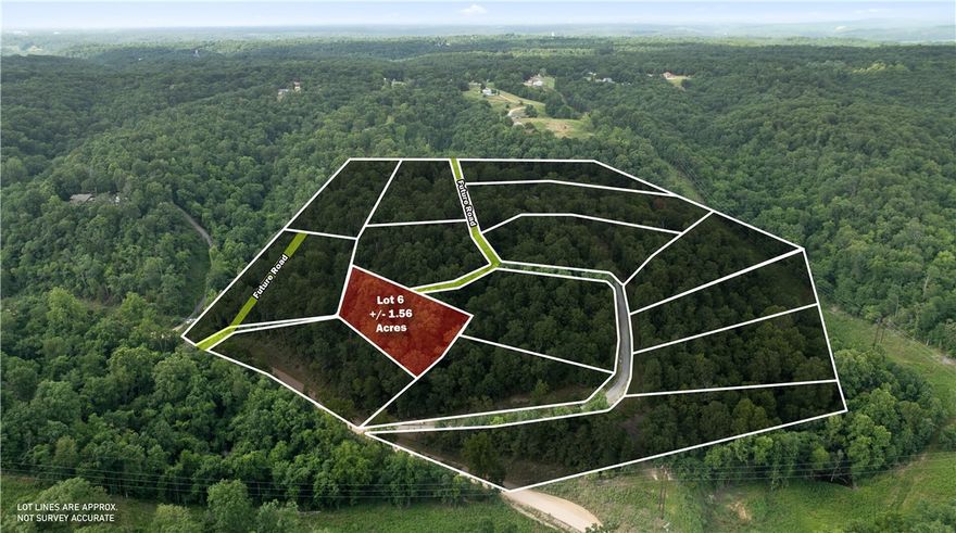 Perfect opportunity to build your dream home on this +/- 1.56-acre wooded residential lot, located just 5
miles from the Beaver Lake Boat Ramp and Lakeshore. Tucked away in a secluded, peaceful setting, this
property offers a quiet rural lifestyle with convenient access to town. Electric is already available on-site,
while a water well and septic system will be needed. With County Zoning, the current site plan is
preliminary and can be tailored to suit your needs in both size and shape, offering flexibility for your ideal build. Esculapia Hollow Rd is currently a dirt road, however, it is set to be paved this summer. Ideally situated approx. 3.5 miles from Lake Atlanta, 4 miles from Downtown Rogers, and 6 miles from Horseshoe Bend Marina, this lot provides the best of both worlds - tranquil living with easy access to outdoor recreation, shopping, dining, and more. Don't miss out on this prime piece of Northwest Arkansas real estate!