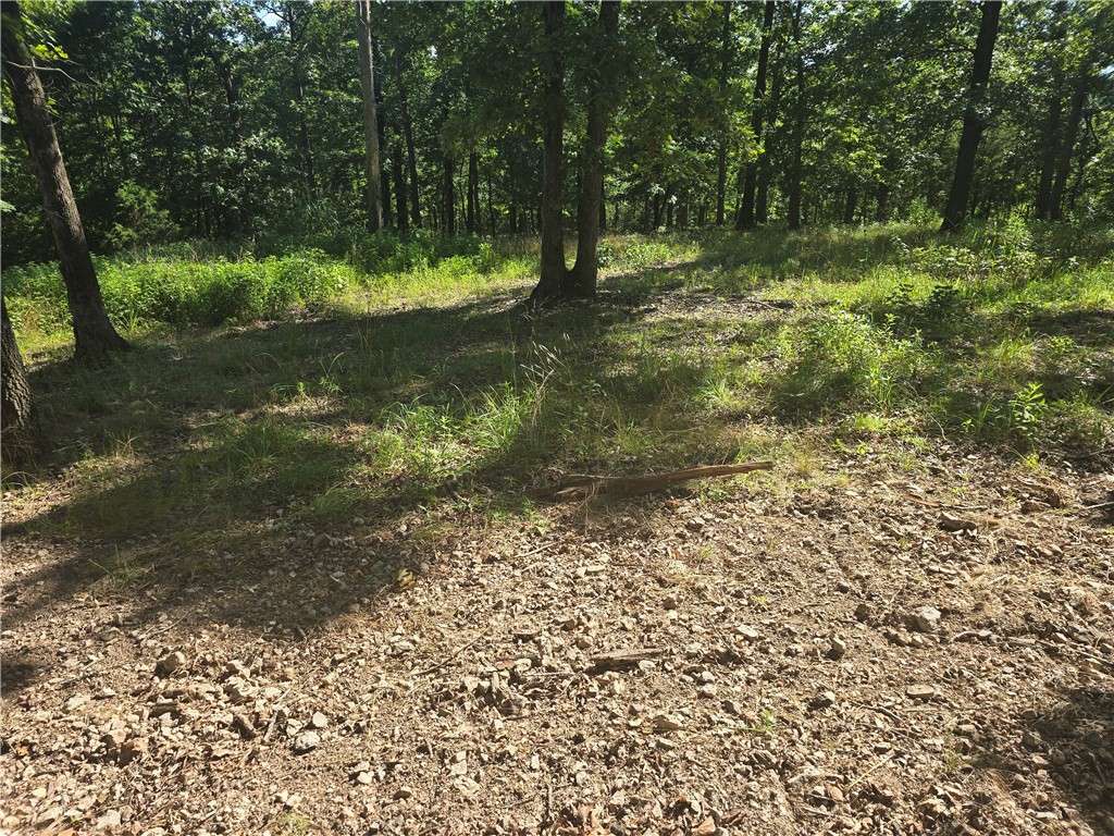16-19-29-RURAL - Land