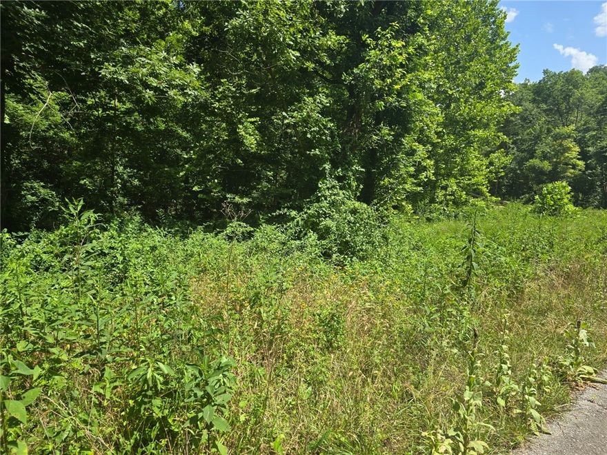 Perfect opportunity to build your dream home on this +/- 3.24-acre wooded residential lot, located just 5
miles from the Beaver Lake Boat Ramp and Lakeshore. Tucked away in a secluded, peaceful setting, this
property offers a quiet rural lifestyle with convenient access to town. Electric is already available on-site,
while a water well and septic system will be needed. With County Zoning, the current site plan is
preliminary and can be tailored to suit your needs in both size and shape, offering flexibility for your ideal build. Esculapia Hollow Rd is currently a dirt road, however, it is set to be paved this summer. Ideally situated approx. 3.5 miles from Lake Atlanta, 4 miles from Downtown Rogers, and 6 miles from Horseshoe Bend Marina, this lot provides the best of both worlds - tranquil living with easy access to outdoor recreation, shopping, dining, and more. Don't miss out on this prime piece of Northwest Arkansas real estate!