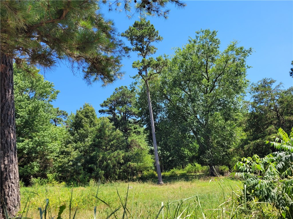 5 acre secluded wooded tract. Level with tons of potential. Bring your farm animals. Plenty of room to stretch out here. Just minutes to the schools, shopping & restaurants. Part of a larger piece of land. More acreage available. Agent owned