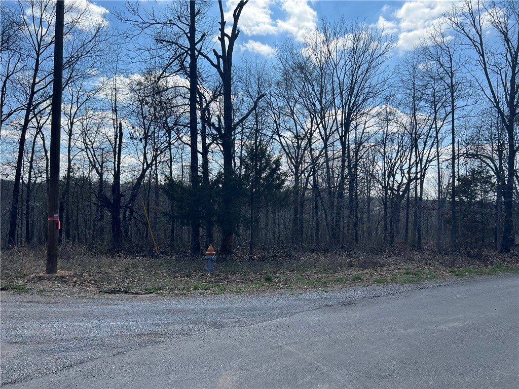 Perfect lot to build with great views! .24 acres. Water and electric available on your side of the street. Lot is very gently sloped for the first 3/4 of the lot then slopes hard into the scenic valley behind. Within 3 minutes of Metfield Country Club, mountain biking trails and paved walking trails. 11 minutes to town and I-49. Within 8 minutes of Lake Brittany. Will need onsite septic. No perc test available. $16 monthly POA fee.
