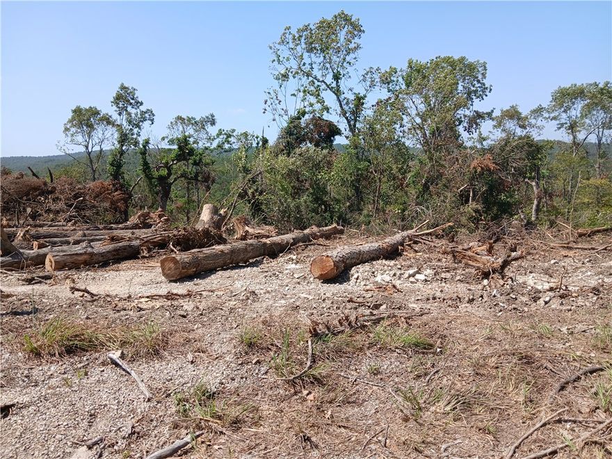 0.22 acre lot in Briarcliff, AR located only a few steps from city hall! Owner-financing available! Here you'll be at the center of Briarcliff and all it has to offer! This lot uniquely offers privacy and a central location all at once! Only 13 minutes from Mountain Home which allows you to have all the conveniences of city life while still enjoying the peaceful lifestyle and benefits of living in Briarcliff! There's easy access on the paved city street as well as a fishing pond and playground for residents only. Additionally, a clubhouse (including a community pool, gym, 9 hole putt-putt golf course, sauna, a small reading library, and conference rooms) are currently being rebuilt.