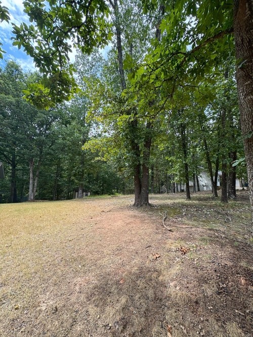 Fantastic opportunity to own a large lot in a sought-after Bella Vista neighborhood, perfectly situated near Dogwood Golf Course and the scenic Blowing Springs Greenway. This property offers an ideal setting for a walkout basement and the chance to create a custom home surrounded by nature and recreation. Whether you're looking to invest or build your dream retreat, this lot delivers great potential and lifestyle value.