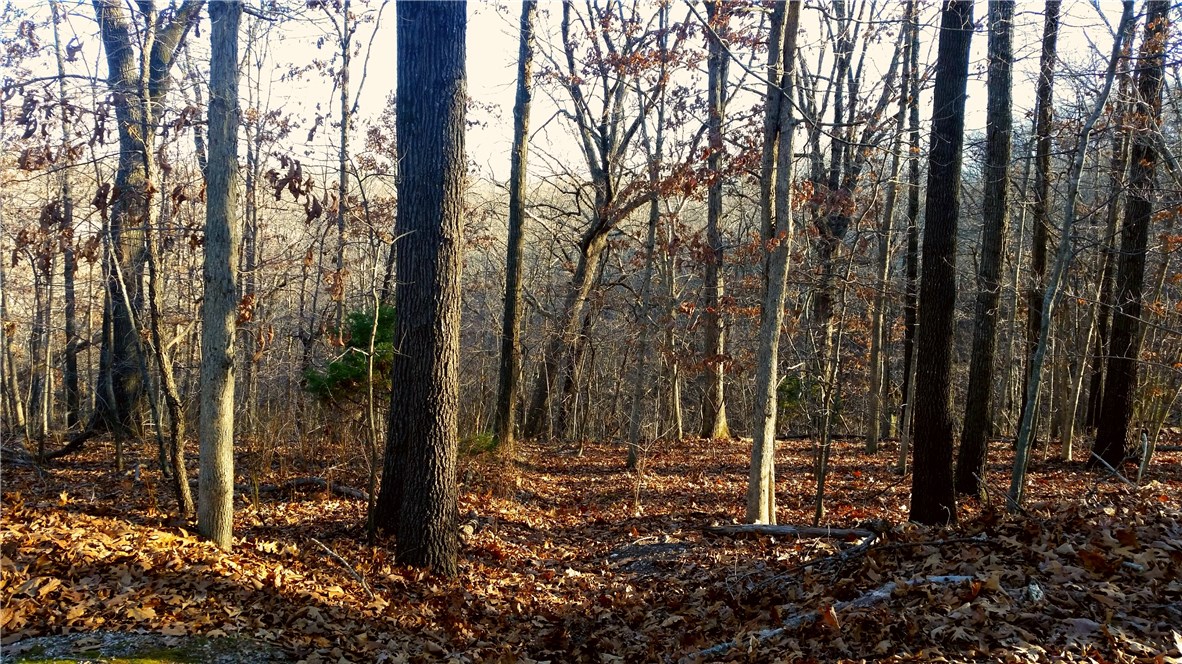 Good building lot in Bentonville School District. Close to Riordan Hall and Windsor Lake boat ramp.