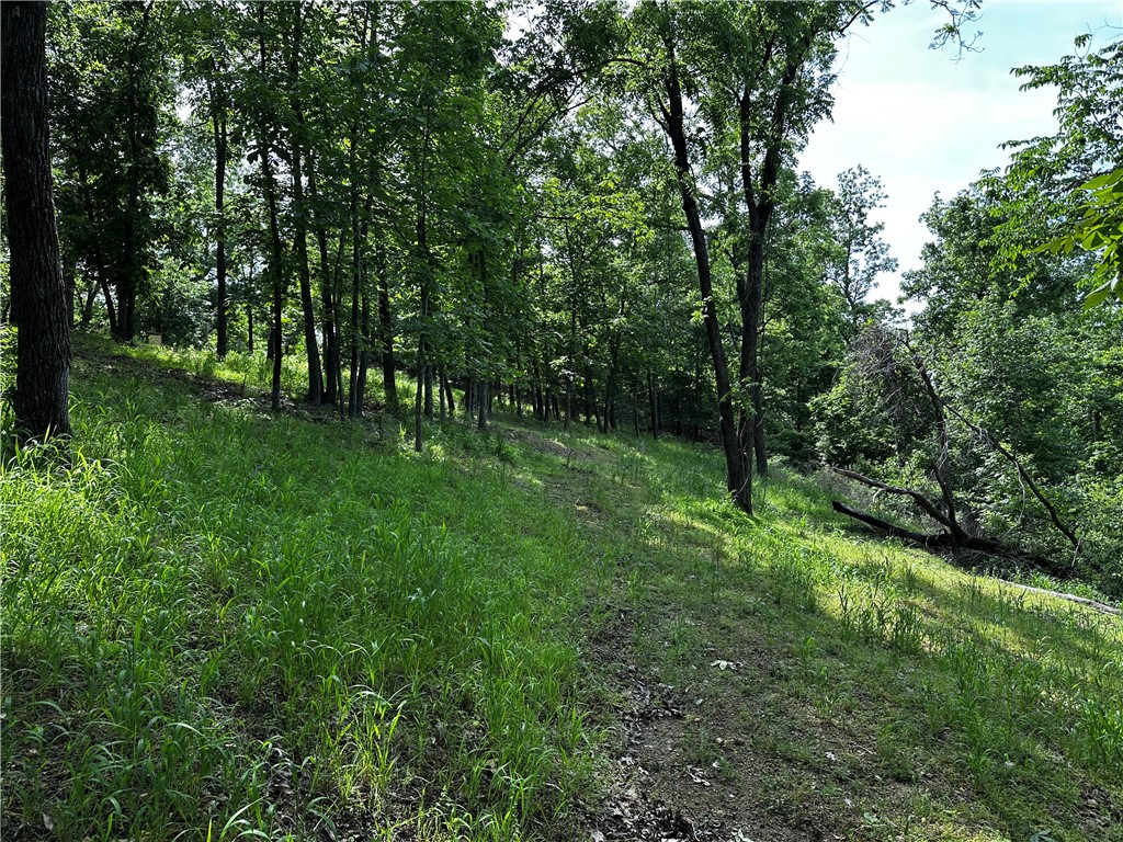 Tanglewood Resort 2 - Land