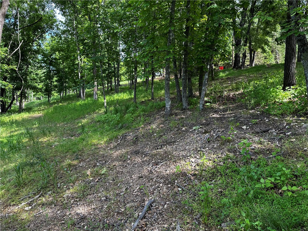 Tanglewood Resort 2 - Land