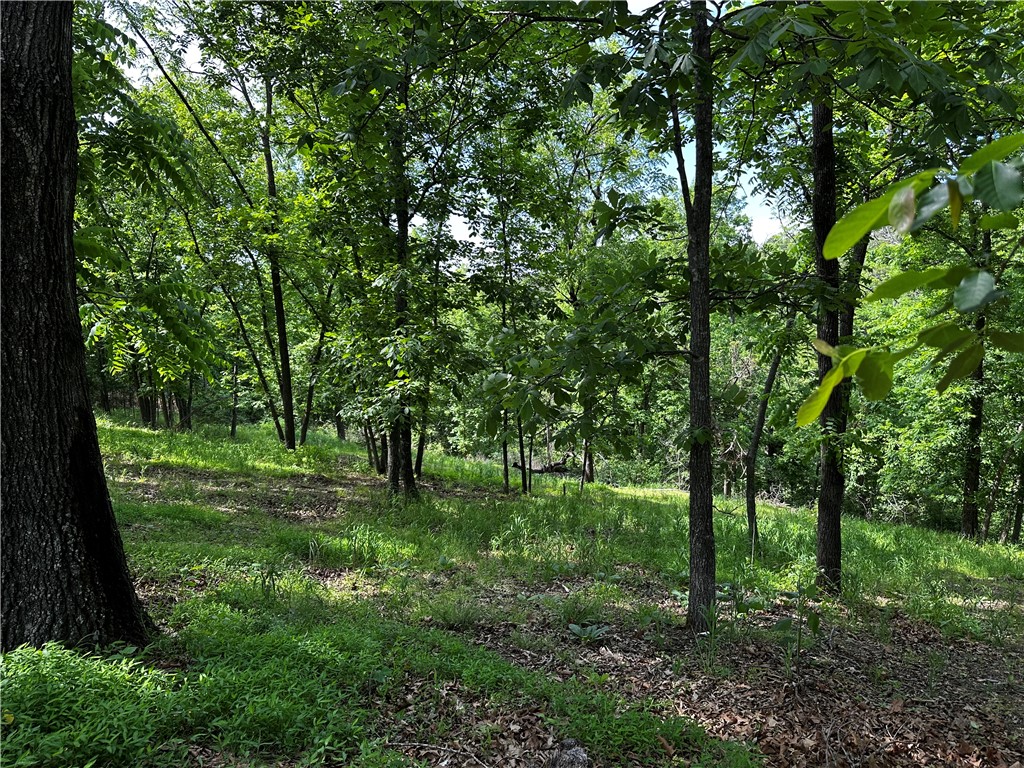 Tanglewood Resort 2 - Land