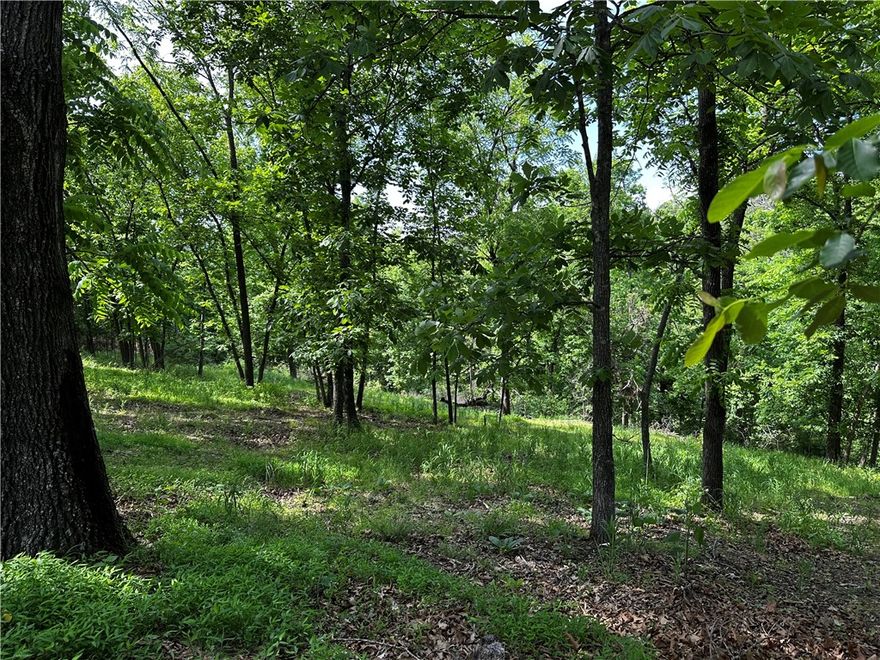 Perfect placed for a tiny home or cabin in the Rocky Branch Resort area.  Electric at E. Robin Road and neighbor has municipal water. About a mile and half from swimming area and public boat launch at Rocky Branch State Park and Marina. Nearby Hobbs State Park hiking and biking trails, War Eagle Mill and Caverns.