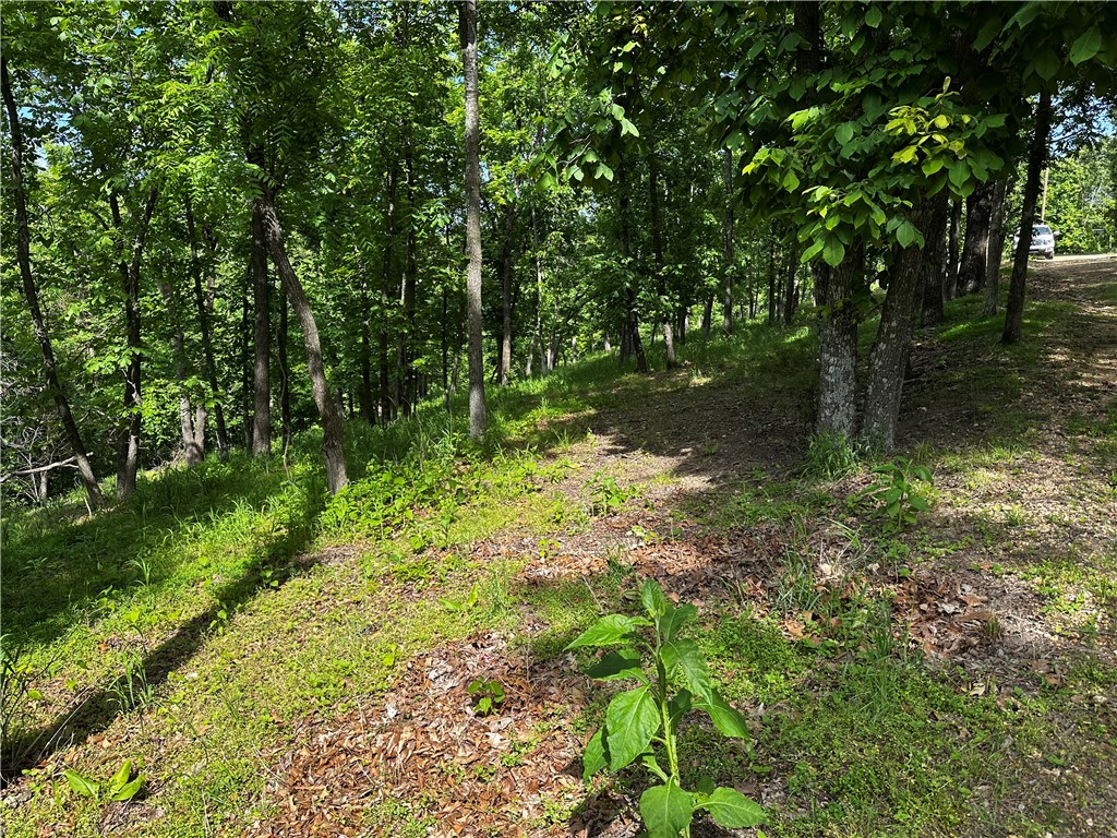 Tanglewood Resort 2 - Land