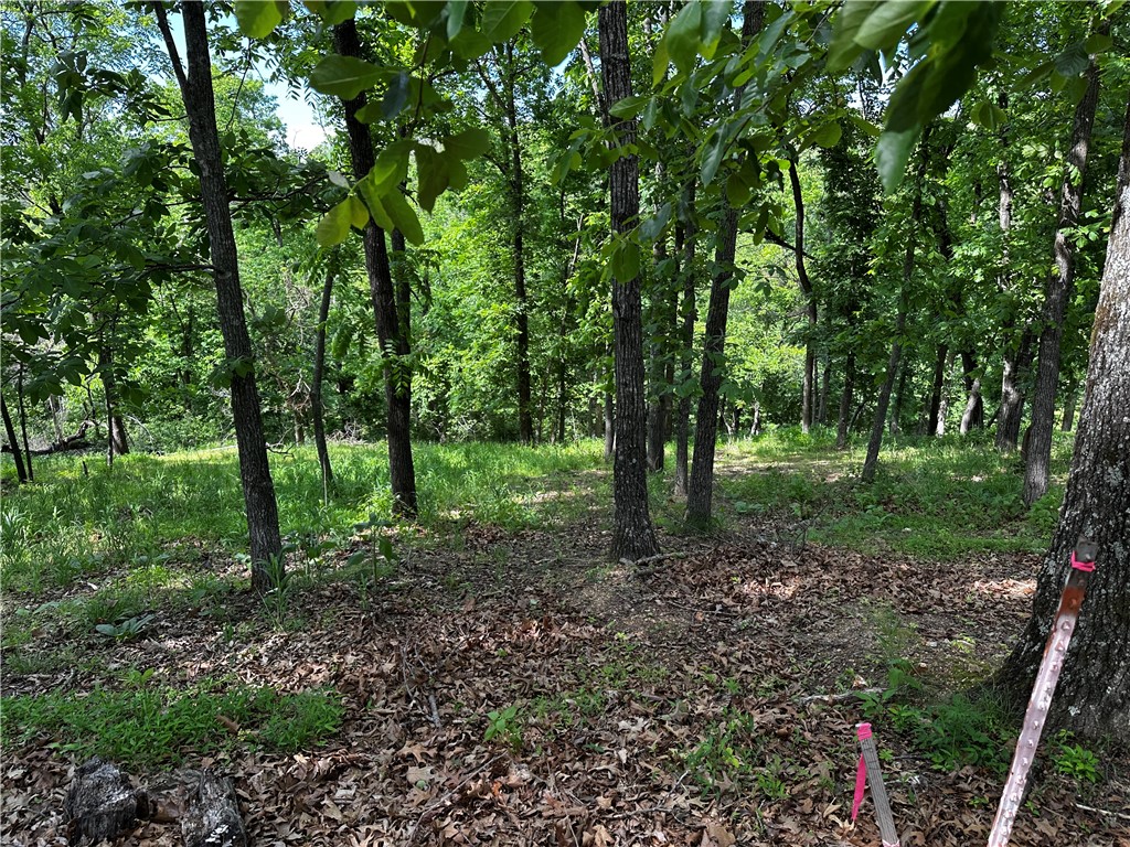Tanglewood Resort 2 - Land