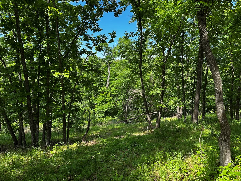 Tanglewood Resort 2 - Land