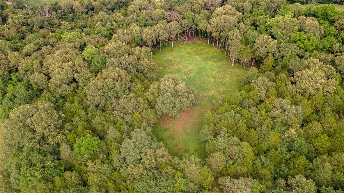 Bearing Fruit Farms Minor Sub - Land
