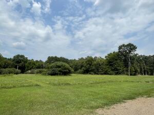 Lots for sale in Dover with established utilities and access. Purchase price is for each lot individually.