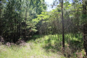 End of the private road and heavily wooded. This 16.88 acres has a level area near the private road for building. You would need a well and septic. Additional acreage available.