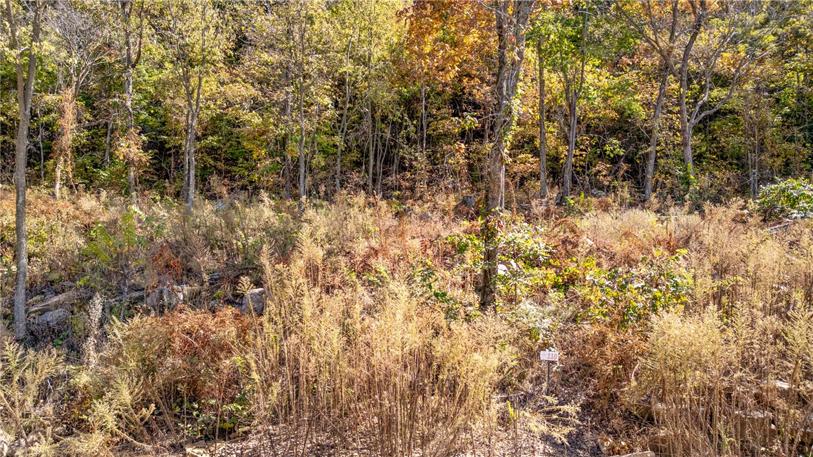 Round Mountain Estates - Land