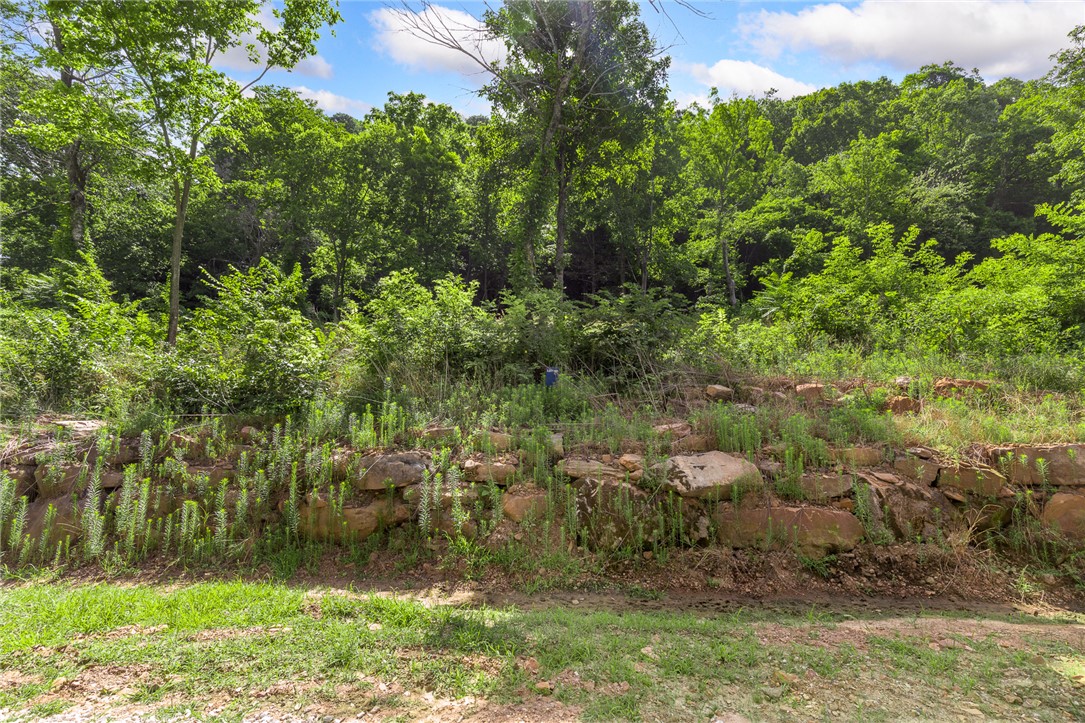 Round Mountain Estates - Land