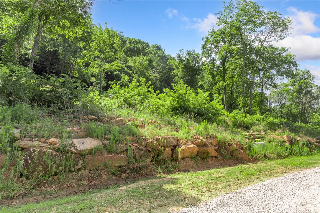 Round Mountain Estates - Land