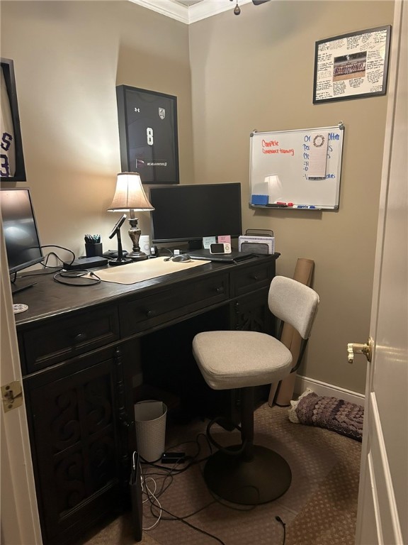 Dover Heights - Residential