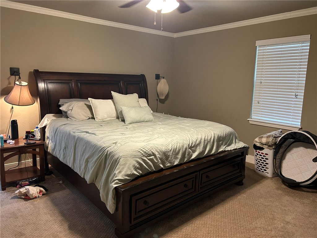 Dover Heights - Residential