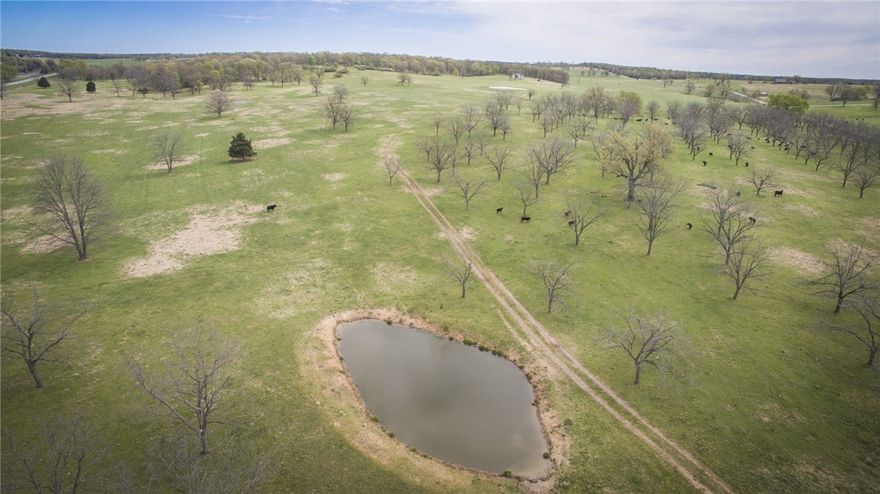 900+ acres of gorgeous well established pasture land in thriving Northwest Arkansas. One of the last large ranches left in Benton county is up for grabs. 20+ ponds. 4 large hay barns. Cross fenced for maximum management with alleyways leading back to a massive and efficient corral system with feed system.  Surrounded on all sides by road frontage.  Rural water. Natural gas. This ranch has it all.