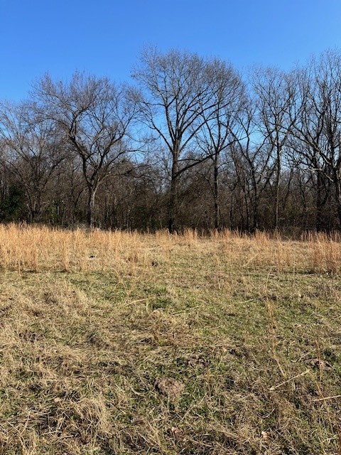 20-18-30-SPRINGDALE - Land