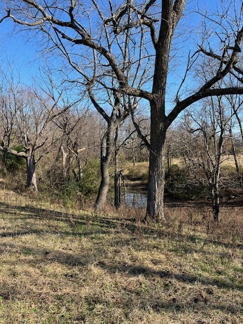 20-18-30-SPRINGDALE - Land