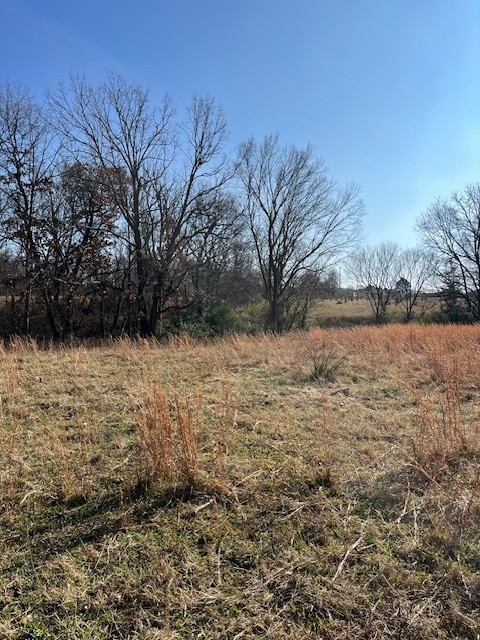 20-18-30-SPRINGDALE - Land