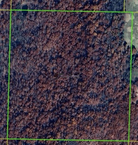 Expansive 37.13-acre parcel offering endless potential for those seeking privacy, shady spaces, and natural surroundings.  Rolling terrain and mature forest views create an inviting setting for recreation or your dream home.  Easy access to nearby highways keeps essentials within reach while preserving a quiet rural feel.  This is your opportunity to own a substantial piece of land in a peaceful, beautiful location.  Additional acreage available.
