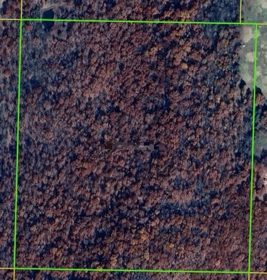 Expansive 37.13-acre parcel offering endless potential for those seeking privacy, shady spaces, and natural surroundings.  Rolling terrain and mature forest views create an inviting setting for recreation or your dream home.  Easy access to nearby highways keeps essentials within reach while preserving a quiet rural feel.  This is your opportunity to own a substantial piece of land in a peaceful, beautiful location.  Additional acreage available.