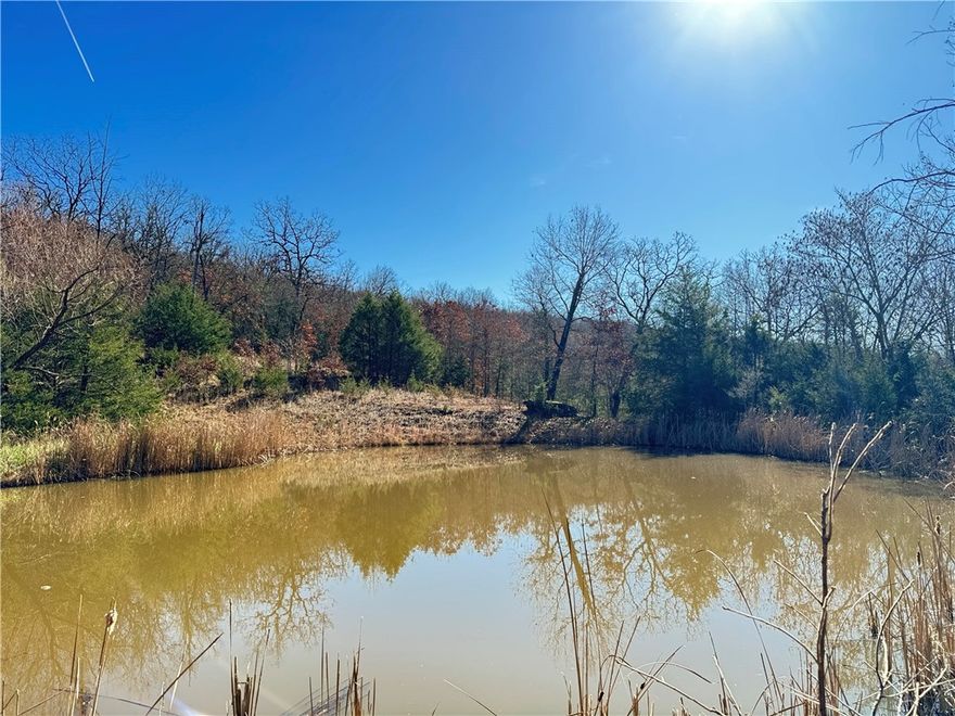 Expansive 37.13-acre parcel offering endless potential for those seeking privacy, shady spaces, and natural surroundings.  Rolling terrain and mature forest views create an inviting setting for recreation or your dream home.  Easy access to nearby highways keeps essentials within reach while preserving a quiet rural feel.  This is your opportunity to own a substantial piece of land in a peaceful, beautiful location.  Additional acreage available.