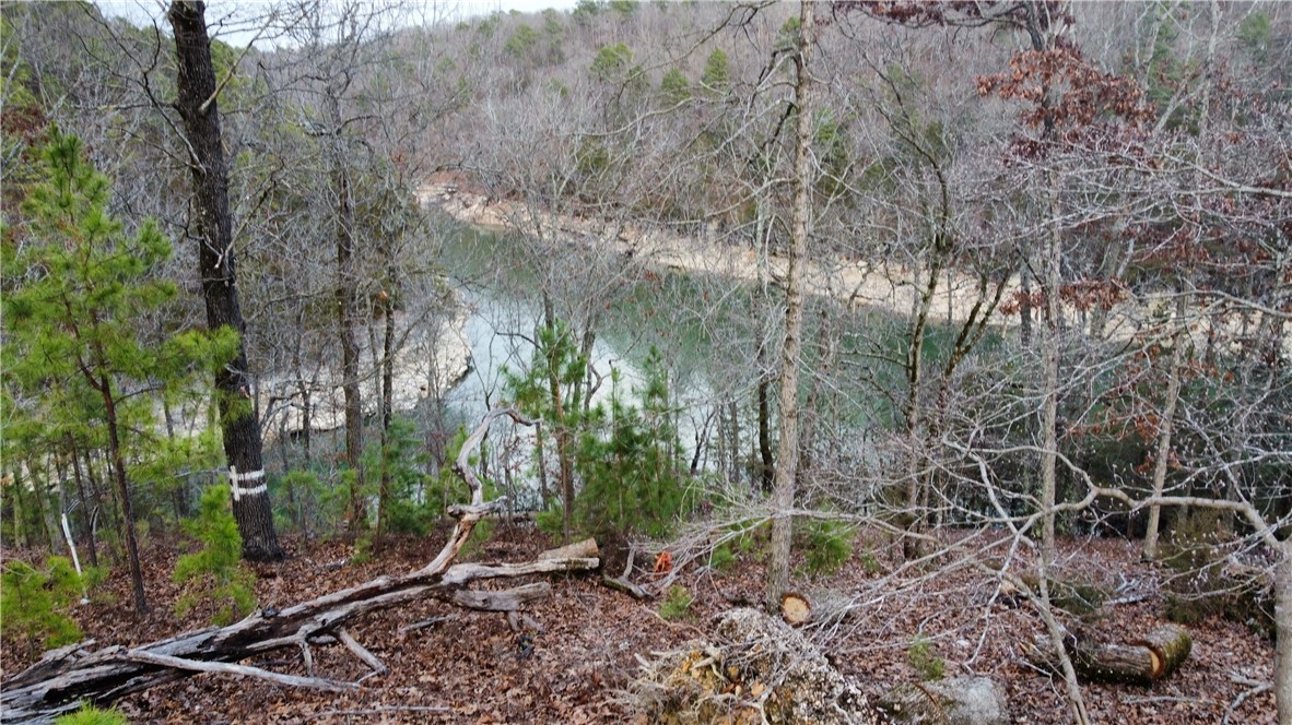 Ventris Shores - Land