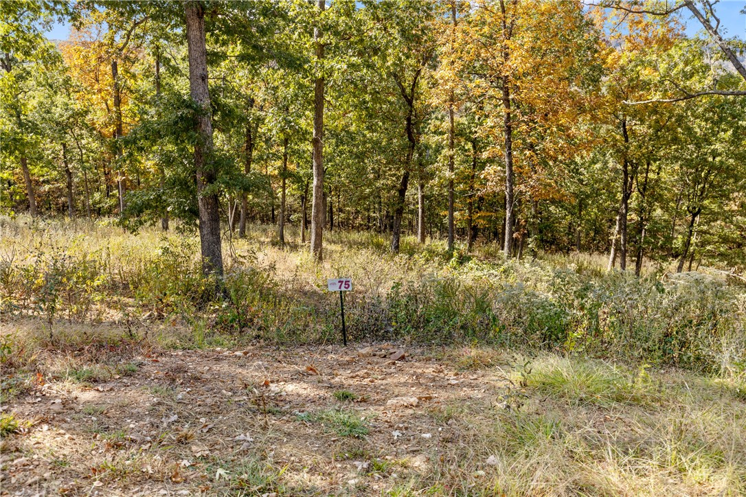 Welcome to Lot 75 (0.80 m/l ac) in Round Mountain Estates! This lot is partially wooded and ready for your dream home to be built on. Featuring westerly views, a level bench and rock features that are unforgettable! RME is a new, master planned, exclusive subdivision located 10 minutes west of Harrison, AR. The following utilities are already on site making the building process much easier for you; natural gas, fiber optic internet, electric, public water, and sewer. Interested in your family seeing the star lights instead of those city lights? RME is what you've been searching for! RME features a 350 +/- acre common area for its residents that includes a stocked fishing pond, Kissing Rock trail, natural springs to explore, Baby Canyon trail, incredible bluff lines to climb, and views for hundreds of miles that will not only take your breath away but will forever be etched in your memory! Neighborhood amenities coming soon.