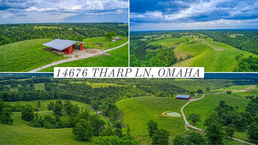 Turn key cattle farm with excellent set of sorting pens, 100 x 100 red iron barn, several ponds, wet weather creek and a spring box that supplies all the automatic waterers on the property.  The owner has spared no expense establishing pasture throughout the property. Great stand of bermuda on the south facing slopes and fescue on the north facing slopes. This farm is fenced and cross fenced and set up perfectly for rotational grazing. Gorgeous panoramic views perfect for your dream home. Electric on site. 4 miles to the state line, 15 miles from the Branson Airport, 15 miles from Branson, 20 miles from Harrison.