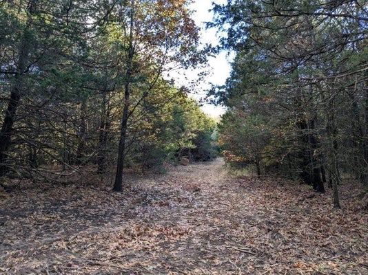 PINE TREE RD, PRAIRIE GROVE, AR 72753 - Image 79caa9dff711be3fdd9bb2ed801be017/938688930