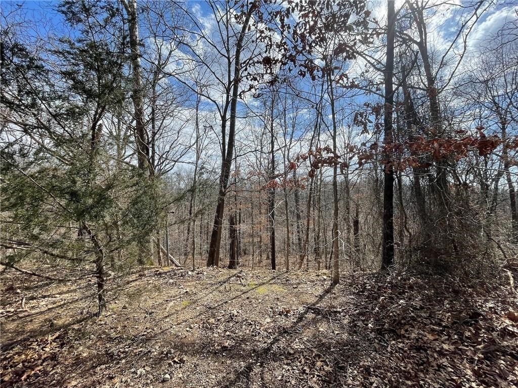 Beautiful area to build a new home! No other homes currently build on the cul-de-sac so enjoy some peace and quiet! Bella Vista is a unique community with a lot of amenities! Great lot on a cul-de-sac in Bentonville schools. This lot offers the opportunity to have access to all the Bella Vista amenities! Bella Vista is a recreational community with so much to do. Close to Bentonville and the Wal-Mart home office, the community of Bella Vista has 7 golf courses, a practice and driving range, 7 lakes for fishing and boating and swimming, a private POA beach at Lake Avalon, miles of hiking and biking trails, swimming pools, parks and pavilions, an RV park and campground, dog park, gun range, tennis, 3 fitness facilities, mini golf, disc golf, Pickleball and more! This community has a lot to offer with an affordable POA of just $16/month for unimproved lot to gain access to all the amenities Bella Vista has to offer!