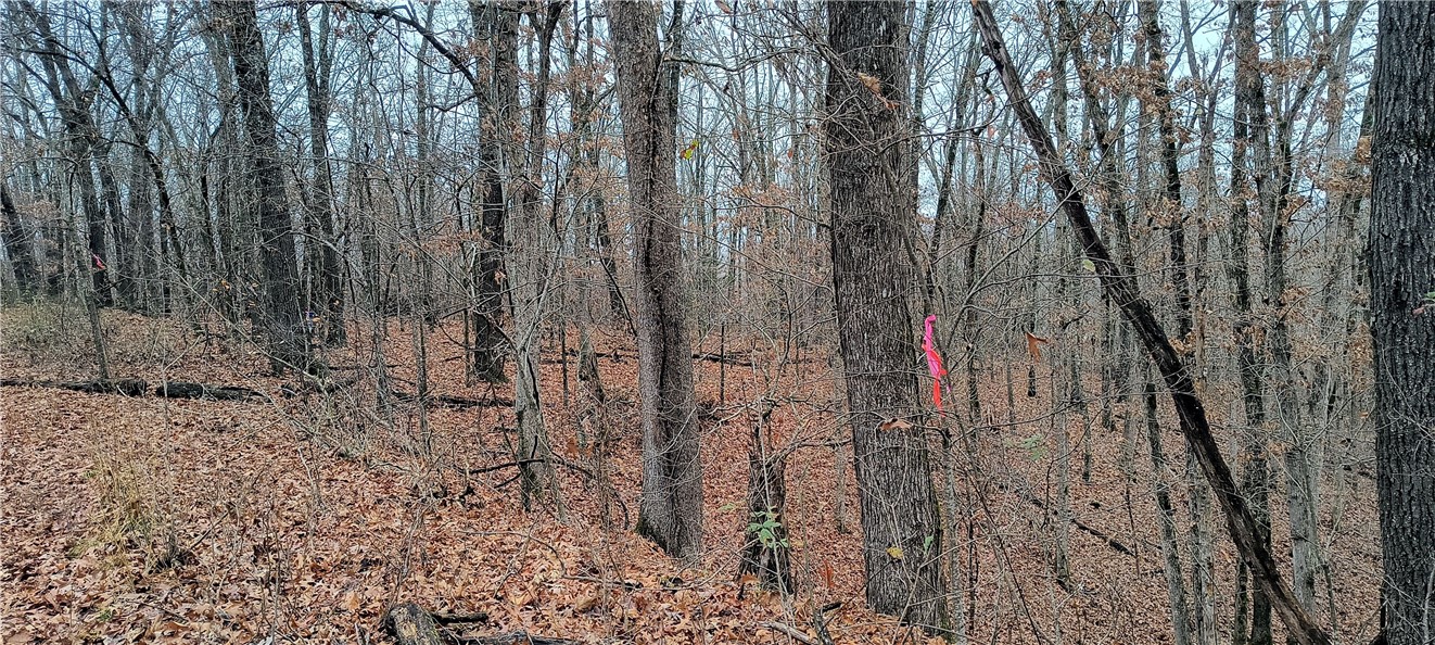 Canterbury Sub Bvv - Land