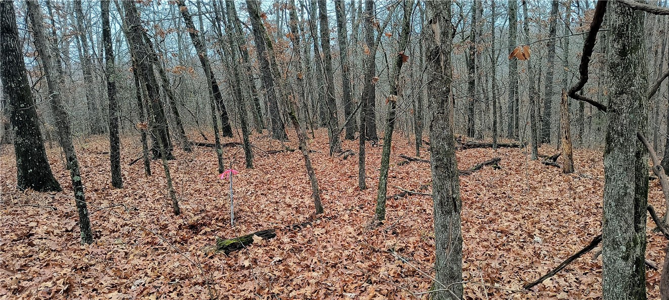 Canterbury Sub Bvv - Land