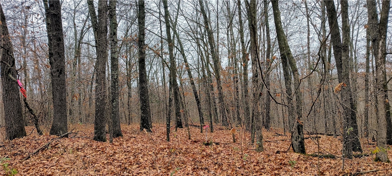 Canterbury Sub Bvv - Land