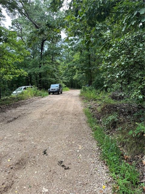 Unimproved Land in Eureka Springs AR Tract 12 Dawn Kimberly- CR1486 Road 12.jpg