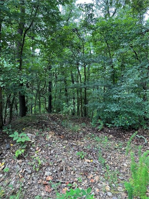 Unimproved Land in Eureka Springs AR Tract 12 Dawn Kimberly- CR1486 Road 13.jpg