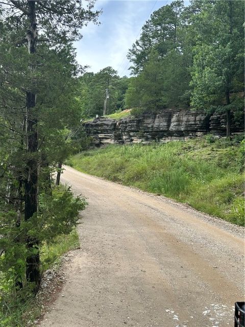 Unimproved Land in Eureka Springs AR Tract 12 Dawn Kimberly- CR1486 Road 1.jpg