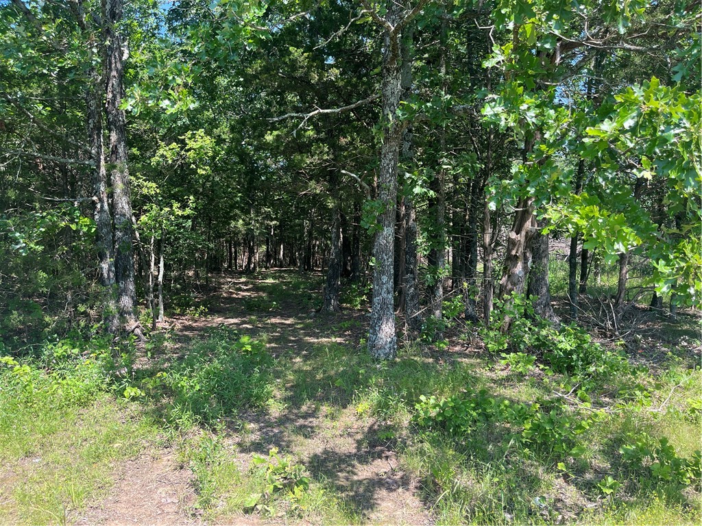 Beautiful piece of the secluded Ozarks! This 10.14 acres is nestled in a valley with a seasonal creek on the south side and a new driveway has been cut in giving access to a building site at the back of the property that has had a perc test and is approved for a 3 bedroom home, septic design will be required to obtain a water tap, Water and electric are available at Madison 6124 also. Address is Elkins and is located about halfway between Elkins and Huntsvlle. Schedule your showing today!