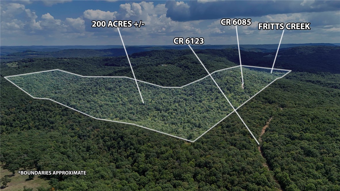 Tucked away in the rolling hills of Madison County, just 25 minutes from the heart of Fayetteville, lies 200 acres of unspoiled Ozark beauty. Towering hardwoods stretch across the landscape and a meandering creek that winds its way through the property.
This land is alive with wildlifeāwhite-tailed deer and while wild turkey. For the avid outdoorsman, itās nothing short of a hunterās paradise. Every turn of the trail offers new possibilities, from prime hunting spots to peaceful overlooks. The terrain is varied and dynamic, offering both rolling ridges and gentle bottoms, with plenty of space to create your own retreatāwhether thatās a rustic hunting cabin, a weekend getaway, or a forever home nestled deep in the woods.
Close enough to Fayetteville for convenience, yet far enough to feel worlds away, this property is a rare chance to own a truly wild piece of the Ozarksāwhere adventure, privacy, and natural beauty meet.
The listing also includes parcel 001-06196-000 totaling 200 acres