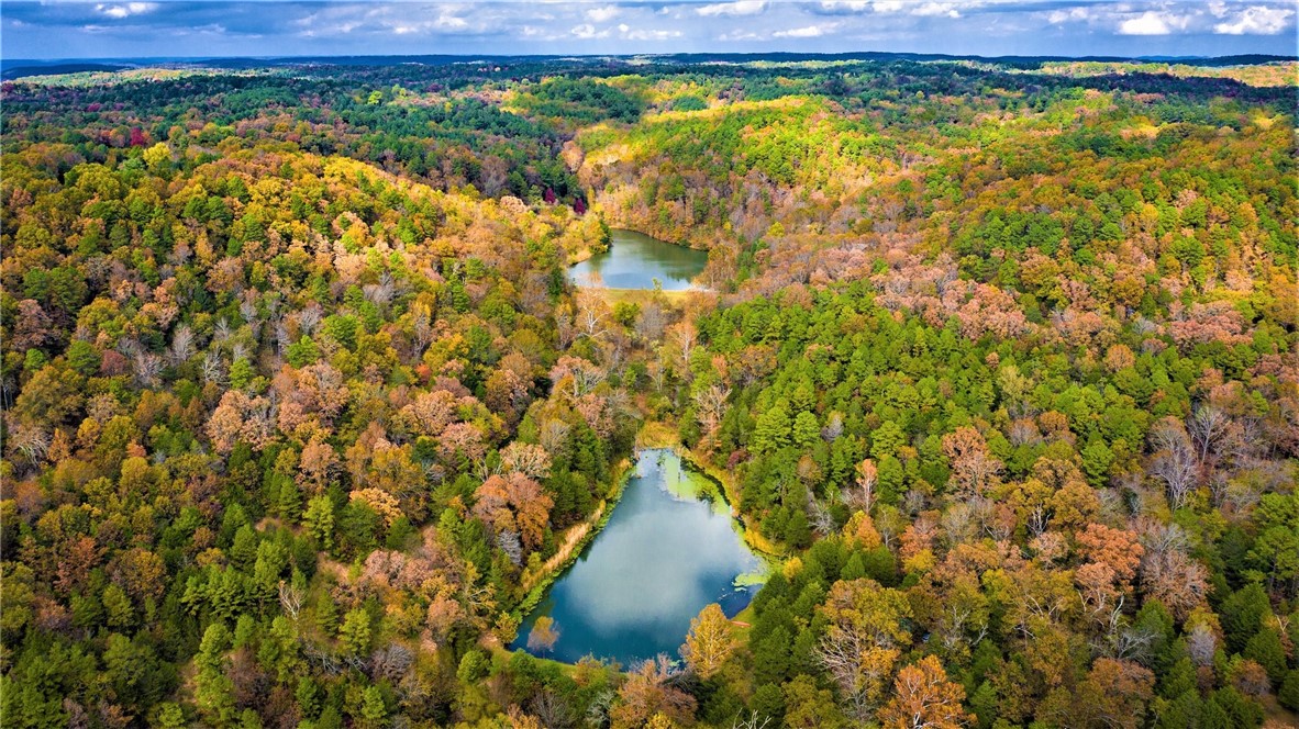 Discover Cinnamon Valley, a sprawling +/- 136-acre luxury 9-cabin retreat in the heart of the Ozark Mountains, offering unparalleled potential for development and expansion. This vast property features two serene spring-fed lakes, filled with Bass, Crappie, Perch, and Catfish, surrounded by lush natural landscapes and on-site trails for exploration. With less than 10% of the acreage currently developed, the land presents abundant opportunities for additional cabins or recreational amenities, supported by two electrical junctions already in place for future growth. The property also includes 9 fully furnished cabins, a management office with modern amenities, large washer and dryer, and a guest lobby. Furnishings and equipment worth +/- $850,000 are also included. Located just 1.5 miles from Downtown Eureka Springs and 7.5 miles from Beaver Lake and White River, the land offers a rare blend of seclusion and accessibility, perfect for enhancing guest experiences or future ventures.
