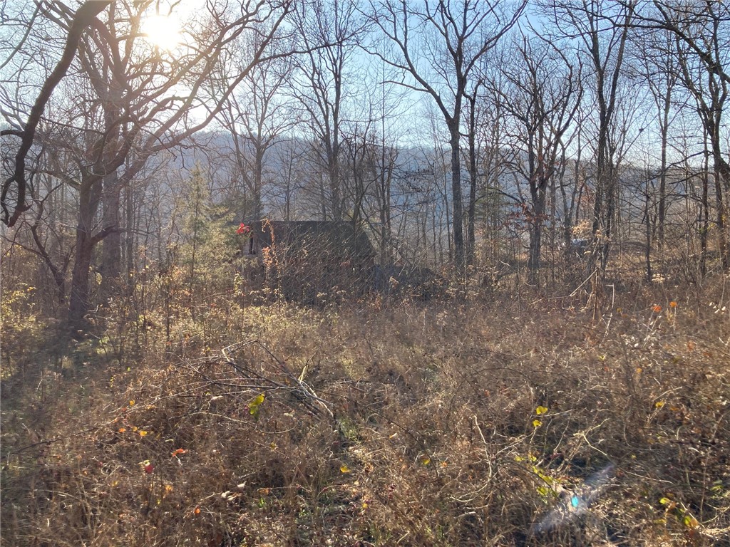15 miles south of the University of Arkansas, 13+/- acres with incredible mountain top views! You can enjoy nature, peace and privacy in the Boston Mountains without sacrificing reasonable commute times. Multiple building sites w/soil test, notable outcroppings, beautiful native stone, and abundant wildlife. 19 miles to Devil's Den State Park. 17 miles to Lake Fork Smith State Park. Only 2 miles to public access for the White River. Ideal for development. Perfect for extended family/multigenerational living! No restrictions, live your dream. Survey available. Don't miss out on your conveniently located retreat in the majestic Boston Mountains!