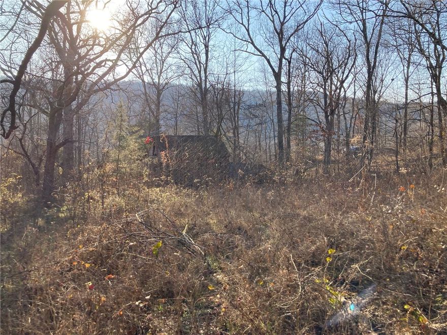 15 miles south of the University of Arkansas, 13+/- acres with incredible mountain top views! You can enjoy nature, peace and privacy in the Boston Mountains without sacrificing reasonable commute times. Multiple building sites w/soil test, notable outcroppings, beautiful native stone, and abundant wildlife. 19 miles to Devil's Den State Park. 17 miles to Lake Fork Smith State Park. Only 2 miles to public access for the White River. Ideal for development. Perfect for extended family/multigenerational living! No restrictions, live your dream. Survey available. Don't miss out on your conveniently located retreat in the majestic Boston Mountains!