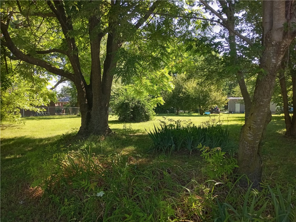 Old Orchard - Land